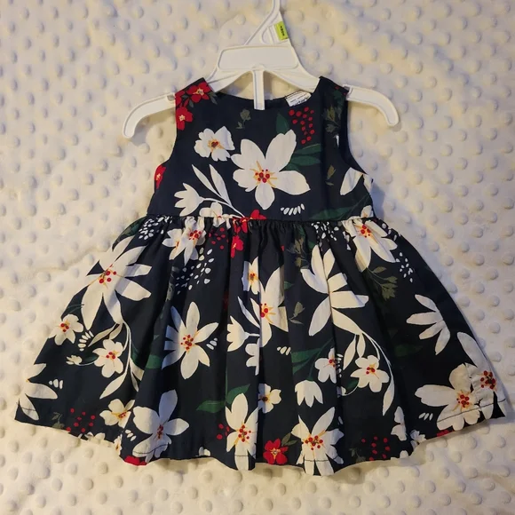 Carter's | Dresses | Formal Dress With Undies | Poshmark